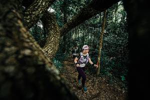 BIB: 
                            <button type="button" onclick="openModal(25666475)" class="btn btn-primary btn-sm float-right btn-popup" data-toggle="modal" data-target=".modal-high-quality">
                        <i class="fas fa-shopping-cart"></i> Add to Cart
                    </button>
                                            <button type="button" onclick="isThisMe(25666475, true)" class="btn btn-success btn-sm float-right btn-popup btn-isme hidden" data-toggle="tooltip" data-placement="bottom" title="นี่คือรูปของคุณใช่ไหม คลิกที่นี่เพื่อเอาเข้าอัลบั้ม">
                        <i class="fas fa-plus"></i> Add to album
                    </button>
                    <button type="button" onclick="isThisMe(25666475, false)" class="btn btn-warning btn-sm float-right btn-popup btn-isnotme hidden">
                        <i class="fas fa-ban"></i> Remove from album
                    </button>